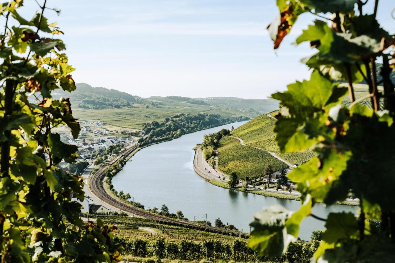 Weingut Und Gaestehaus Apel Nittel Buitenkant foto