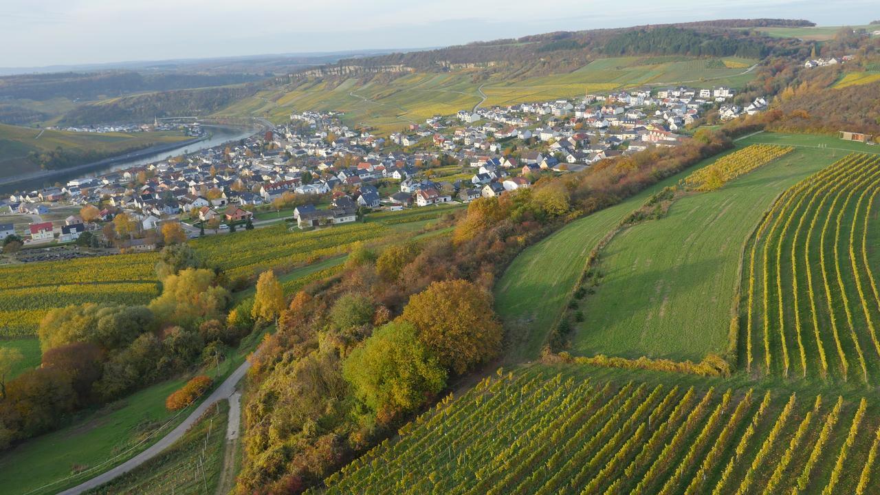 Weingut Und Gaestehaus Apel Nittel Buitenkant foto